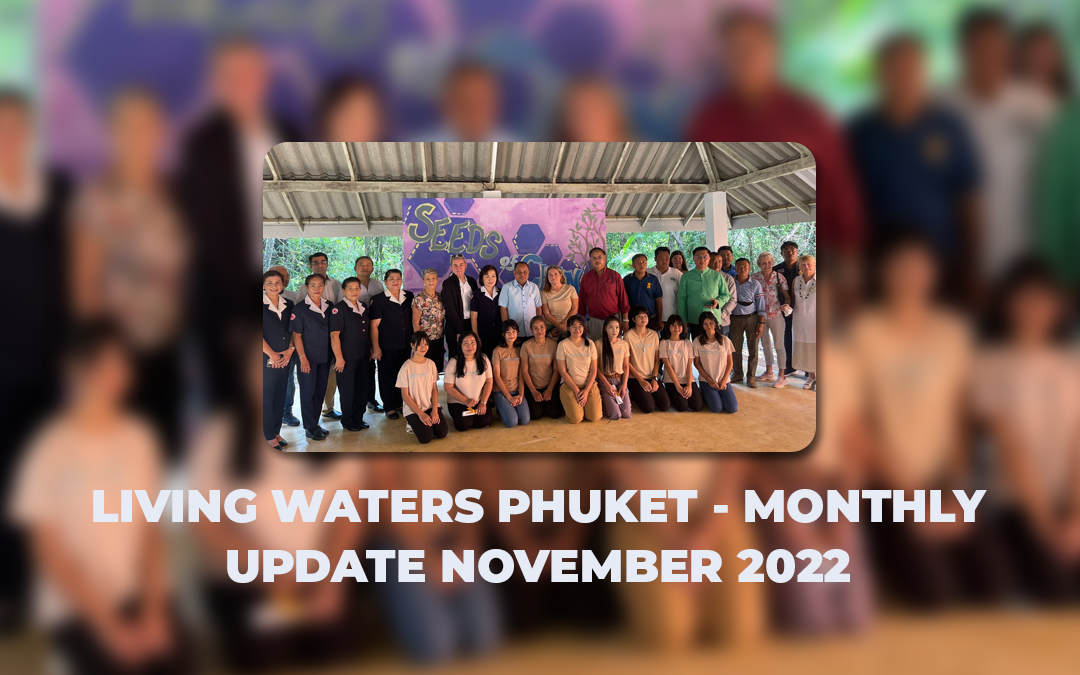 Living Waters Phuket – Monthly Update November 2022