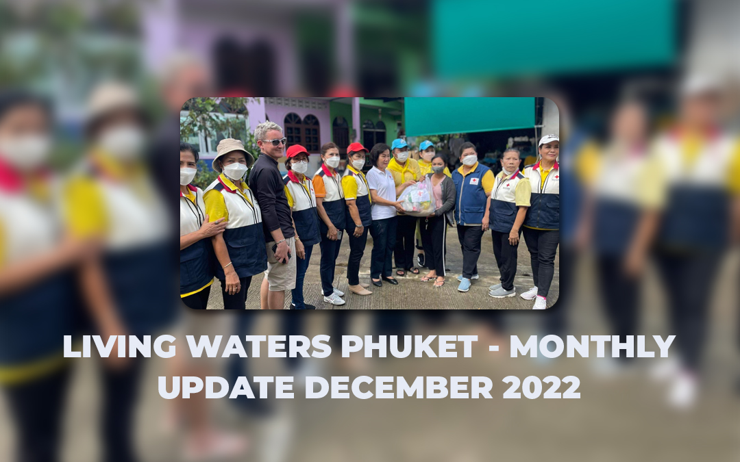 Living Waters Phuket – Monthly Update December 2022